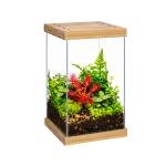 Selva Mini Terrarium