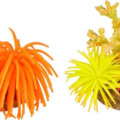 Decor din plastic Leo Anemone Ass.