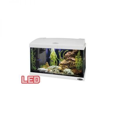 Acvariu CAPRI 50 LED