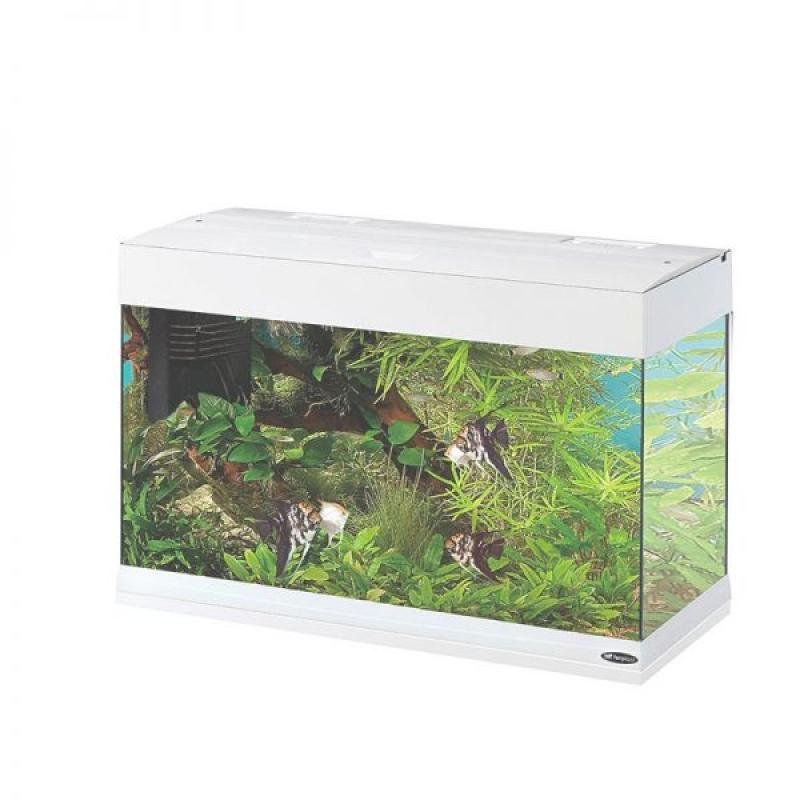 Acvariu DUBAI 80 LED