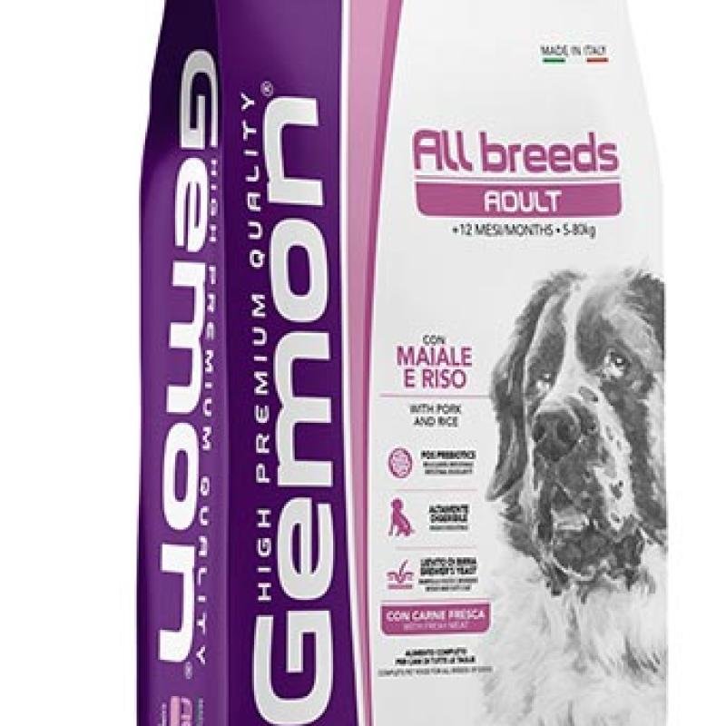 GEMON Dry All Breeds Adult with Pork and Rice