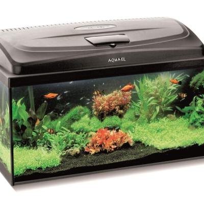 Aquael Аквариум CLASSIC BOX 60 PAP