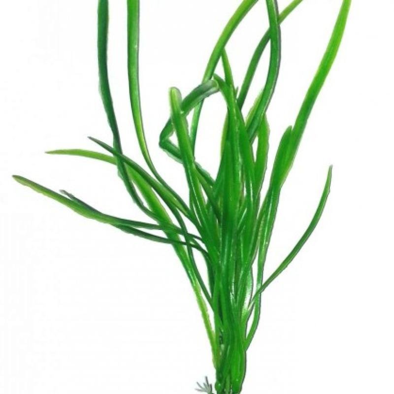 AQUAEL Пластмассовые растения Plastic Plant AP-016 8″