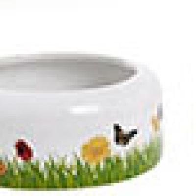 Castron ceramic SPRING