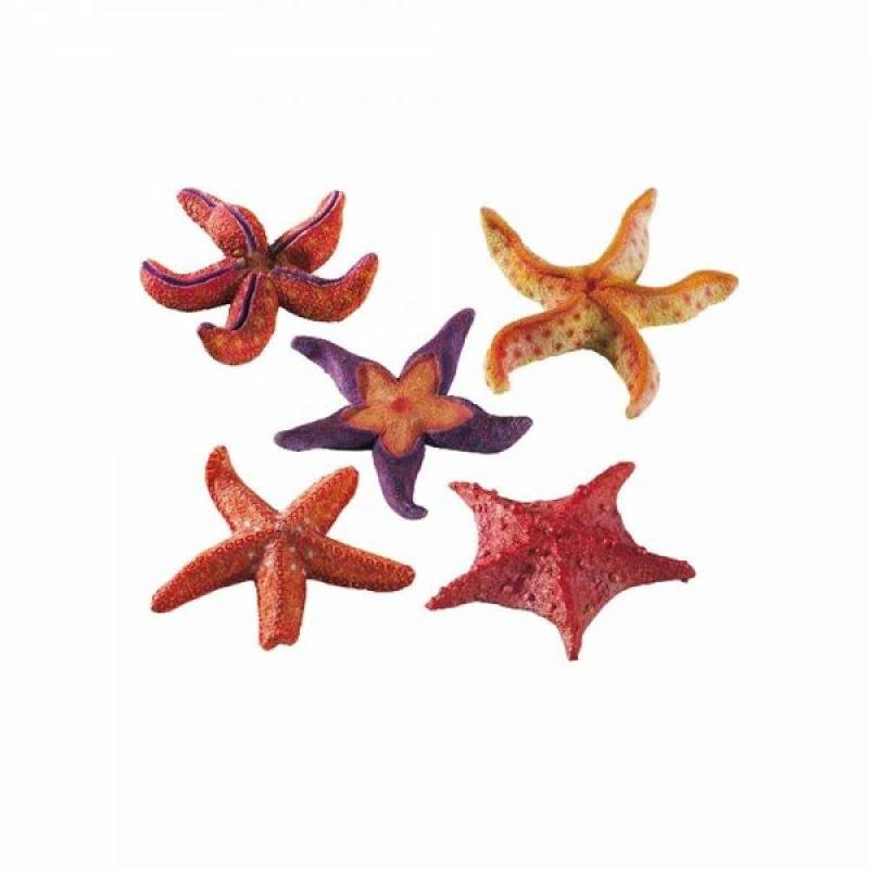 Ferplast stea de mare mică