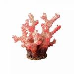 Ferplast coral