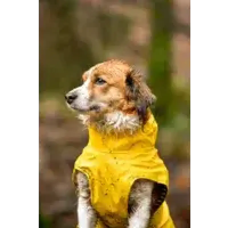 FLAMINGO Дождевик RAINCOAT CIRO