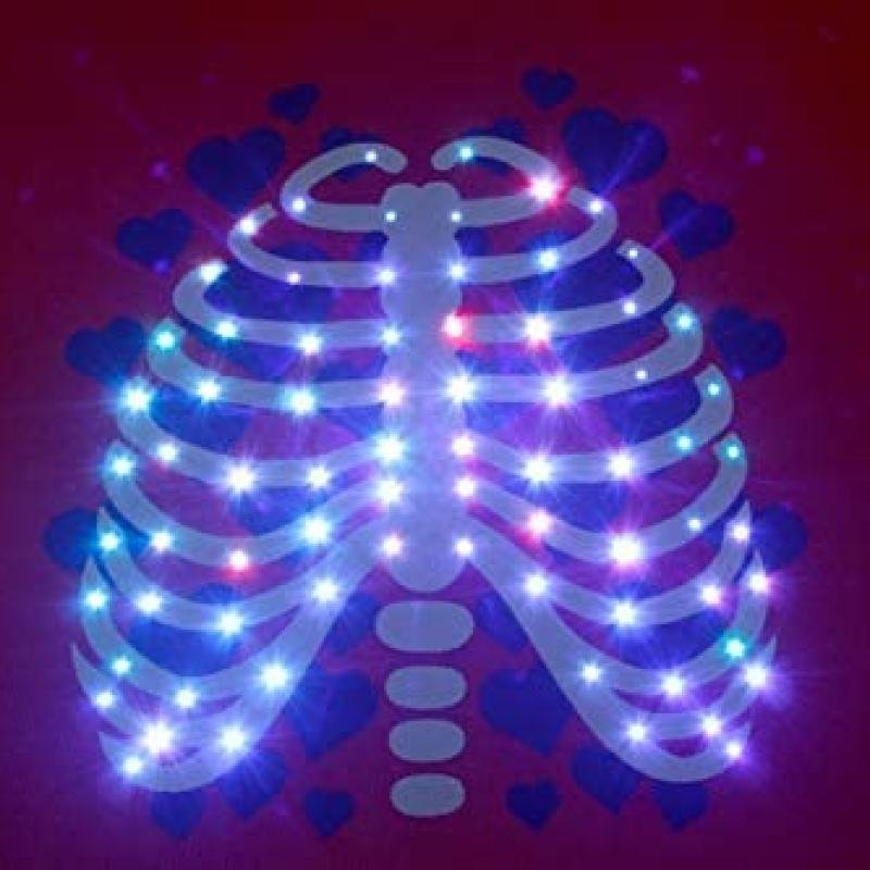 Flamingo Куртка DOG COAT X-RAY LED
