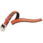 FERPLAST Zgardă DUAL СF15/35