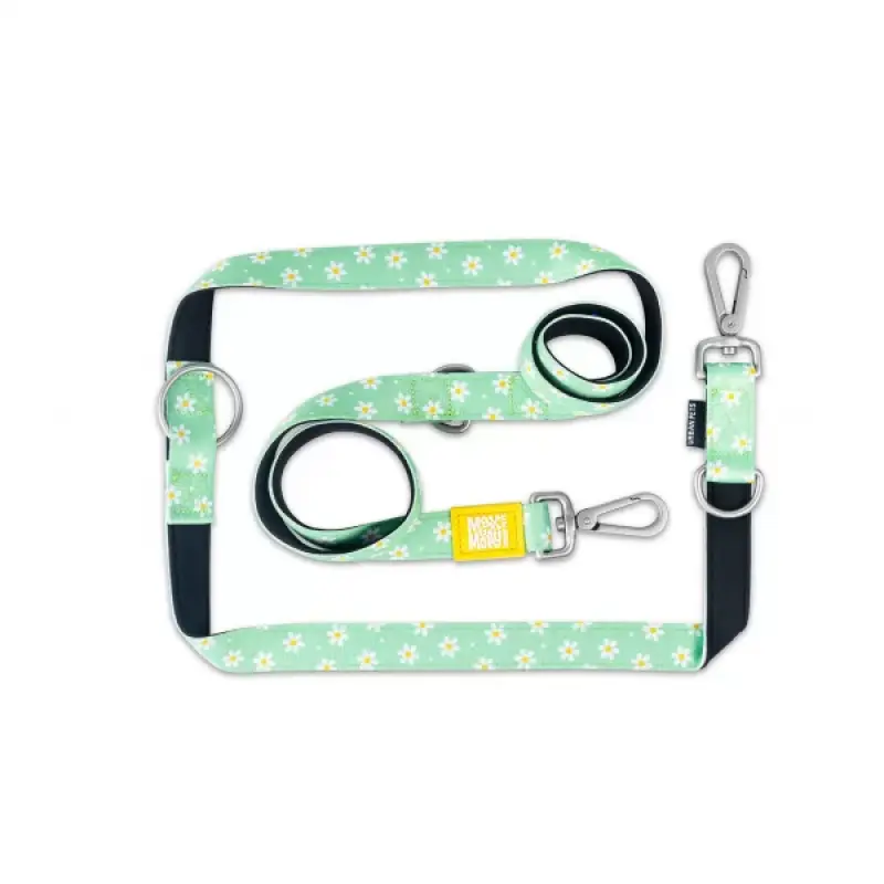 MAX & MOLLY Lesă Multi-Functional Margarite