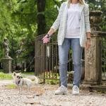 FERPLAST Lesă FLIPPY ONE CORD MINI Mixt
