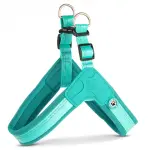 MAX & MOLLY Шлейка Q-Fit — Matrix 2.0 Turquoise l