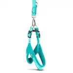 MAX & MOLLY Шлейка Q-Fit — Matrix 2.0 Turquoise l