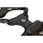 MAX & MOLLY Шлейка Sport  – Matrix 2.0 Black М