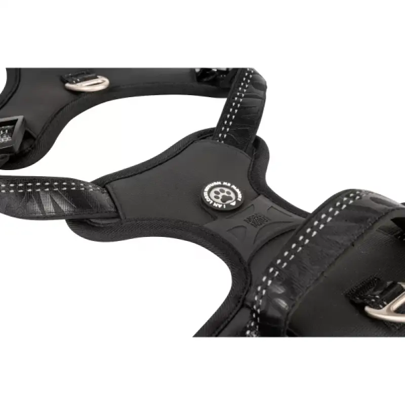 MAX & MOLLY Шлейка Sport  – Matrix 2.0 Black М
