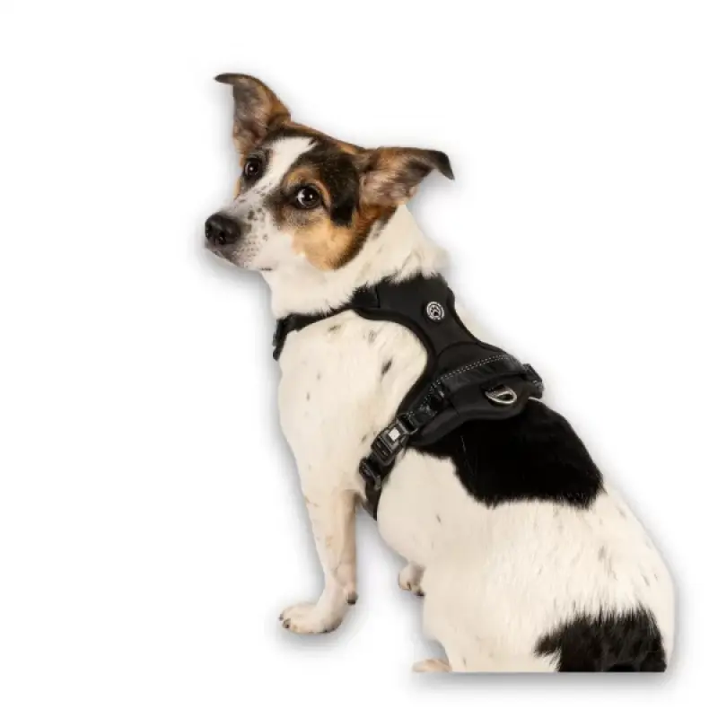 MAX & MOLLY Шлейка Sport  – Matrix 2.0 Black М