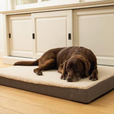 BEEZTEES лежак ортопед. Memoryfoam ZIRA Beige 100x70x9cm