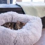 Beeztees culcuș de pluș CAT BED VAKO