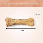 Antos Pressed Bone Pizzle 1pc