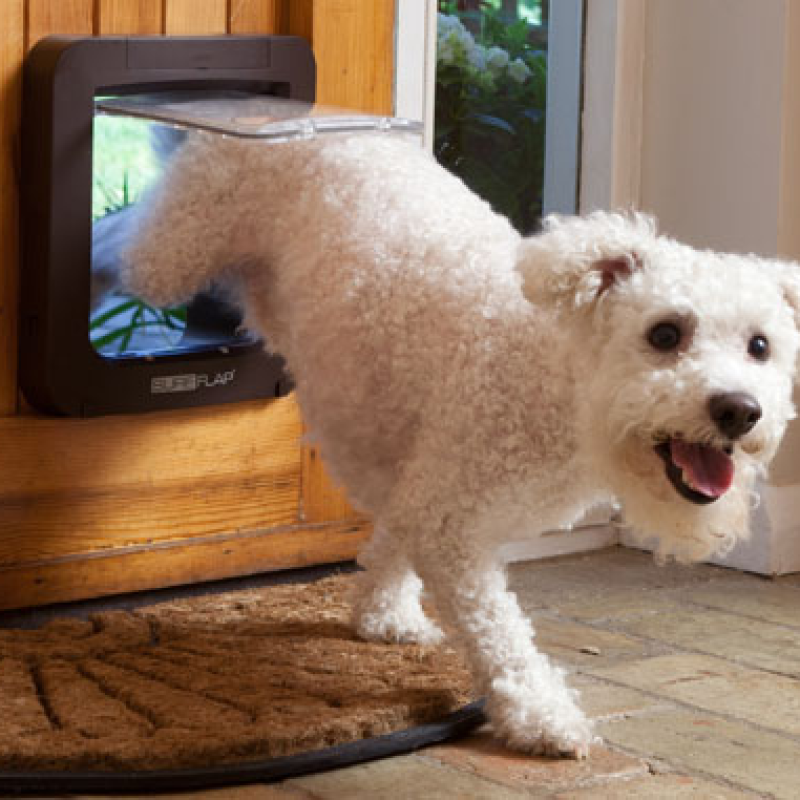 SURE FLAP Дверца Microchip Pet Door