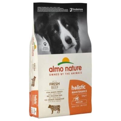 ALMO NATURE DRY Dog HOLISTIC Beef