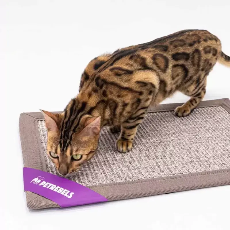 PETREBELS More Mastermat 60 Cappuccino