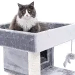 PETREBELS SWEET PETIT Lodge 107