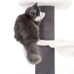 PETREBELS The Rebels Ragdoll 180 OFF