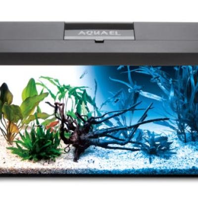 AQUAEL Aquarium set LEDDY PLUS PAP-60 D&N LED