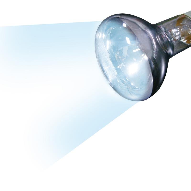 Flamingo Лампа дневного света DAYLIGHT SPOT JOULE – 75W