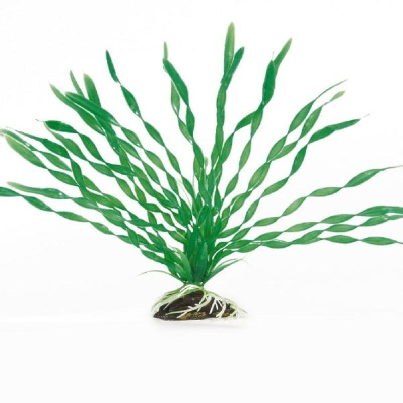 BEEZTEES plante din plastic