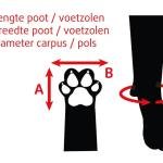 BEEZTEES Защитная обувь PROTECTIVE SHOE l 2x