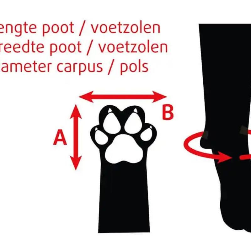 BEEZTEES Защитная обувь PROTECTIVE SHOE l 2x