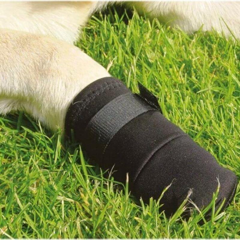 BEEZTEES Защитная обувь PROTECTIVE SHOE l 2x