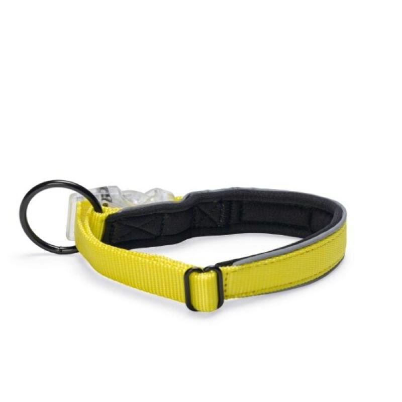 Beeztees zgardă reflectorizantă cu lumini Premium PARINCA Yellow 50×25