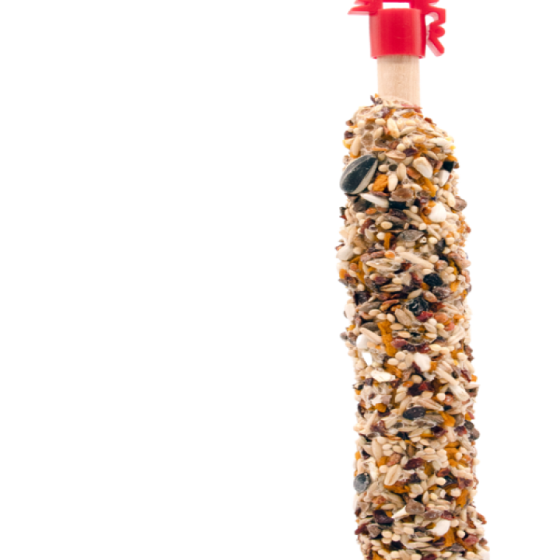 STICKS BIG Parrakeets with Mango&Rosehip