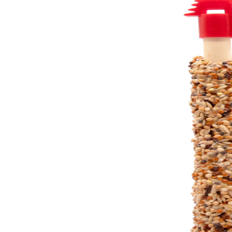 STICKS SMALL Parakeet MIX Veget&Dandel