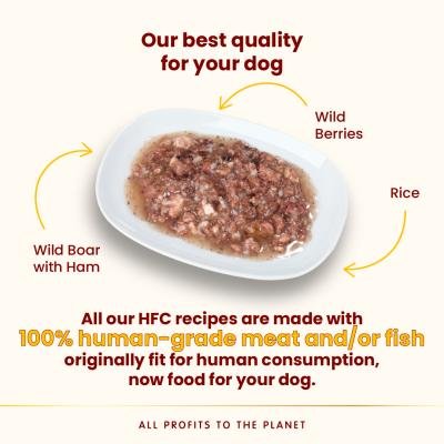 ALMO NATURE Dog HFC Can Natural Wild Boar with Ham and Wild Berries