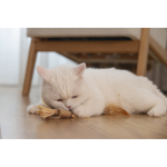 BEEZTEES игрушка для кошек Matatabi Stick STROVY