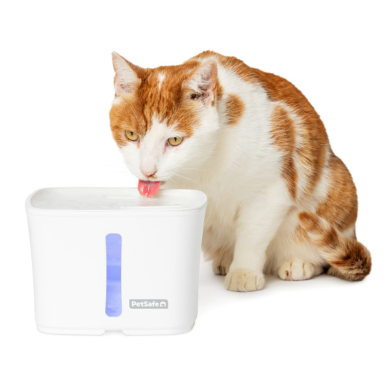 PETSAFE VIVA Поилка-фонтан для домашних животных