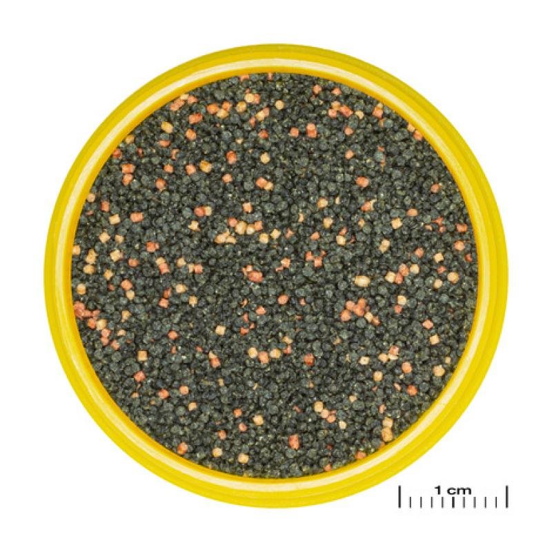 JBL PRONOVO GUPPY GRANO