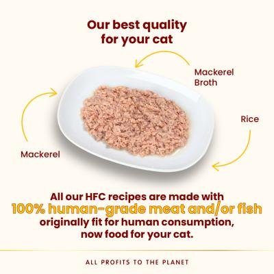 ALMO NATURE CAT HFC Highly Appetizing Mackerel