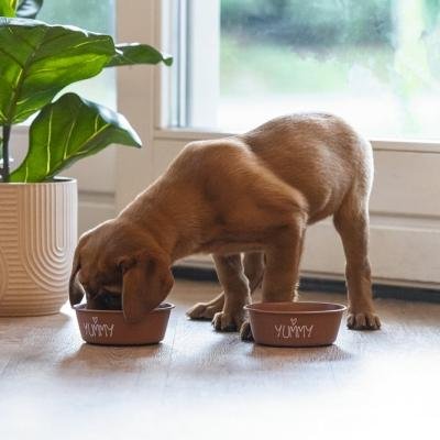 Bol din oțel inoxidabil PUPPY SNOES