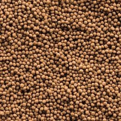Sera Goldfish Granules