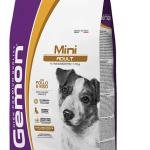GEMON Dry Mini Adult with Chicken and Rice