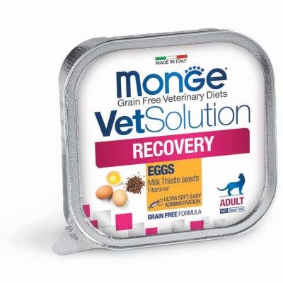 MONGE Vetsolution Cat Recovery