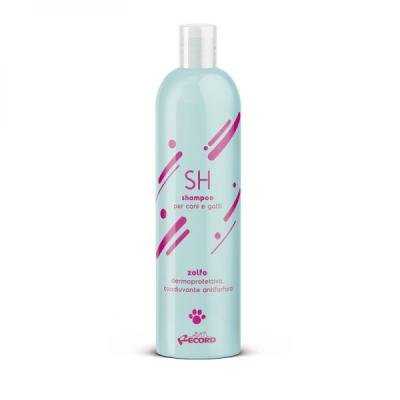 Șampon RECORD ALL with Sulphur